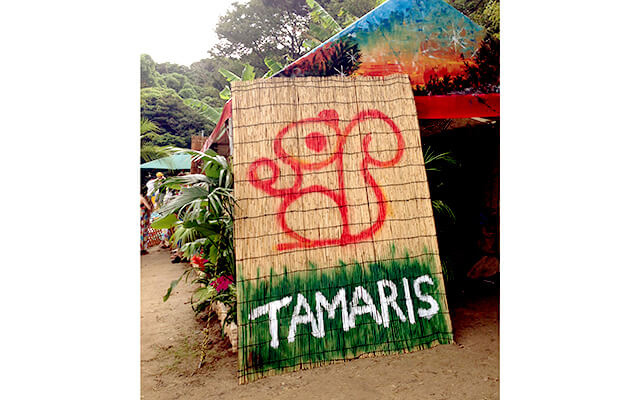 SUNSET LIVE 2013 TAMARISブース